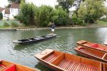 PICTURES/Cambridge - Punting Down the Cam River/t_Punts6.JPG